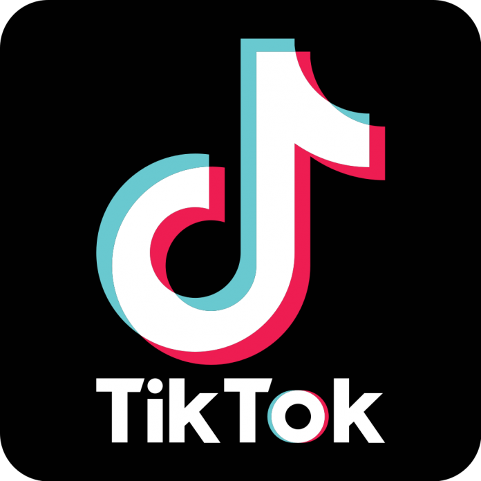 TikTok has shocked to everyone during this global epidemic in 2020,